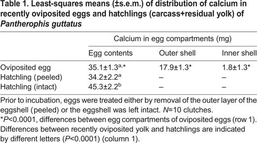 Least-squares means (±s.e.m.) of distribution of calcium in recently oviposited eggs and hatchlings (carcass+residual yolk) of Pantherophis guttatus