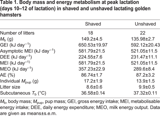 Body mass and energy metabolism at peak lactation (days 10–12 of lactation) in shaved and unshaved lactating golden hamsters