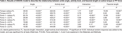 Results of ANOVA model to describe the relationship between ankle angle, activity level, and fascicle length on active torque or PF force