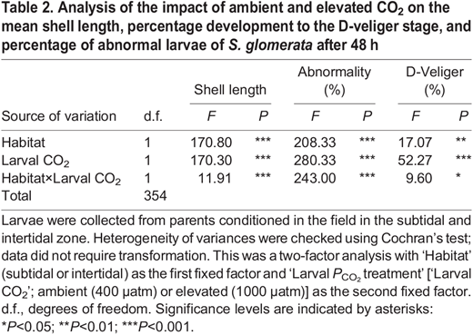 Analysis of the impact of ambient and elevated CO2 on the mean shell length, percentage development to the D-veliger stage, and percentage of abnormal larvae of S.glomerata after 48 h