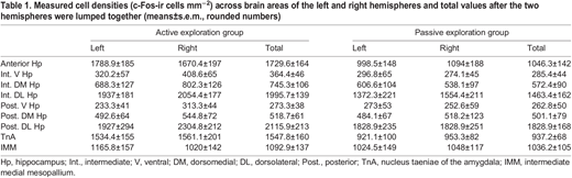 Measured cell densities (c-Fos-ir cells mm−2) across brain areas of the left and right hemispheres and total values after the two hemispheres were lumped together (means±s.e.m., rounded numbers)