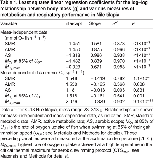 Least squares linear regression coefficients for the log–log relationship between body mass (g) and various measures of metabolism and respiratory performance in Nile tilapia