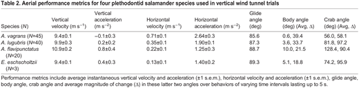 Aerial performance metrics for four plethodontid salamander species used in vertical wind tunnel trials