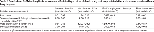 Results from GLMM with replicate as a random effect, testing whether alpha diversity metrics predict relative brain measurements in Green Frog tadpoles