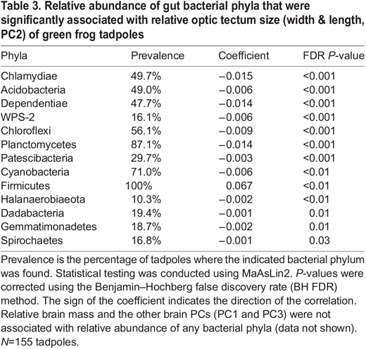 Relative abundance of gut bacterial phyla that were significantly associated with relative optic tectum size (width & length, PC2) of green frog tadpoles