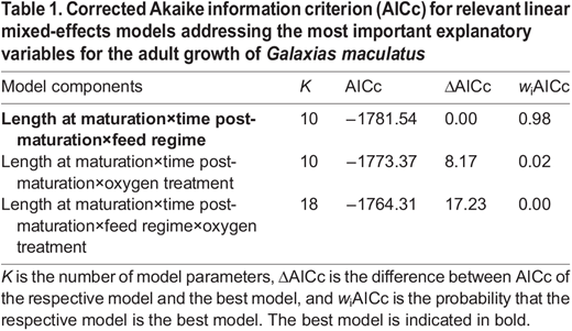 Corrected Akaike information criterion (AICc) for relevant linear mixed-effects models addressing the most important explanatory variables for the adult growth of Galaxias maculatus