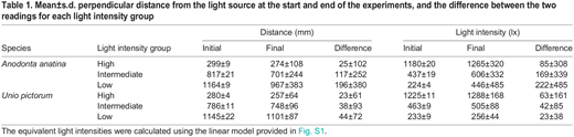 Mean±s.d. perpendicular distance from the light source at the start and end of the experiments, and the difference between the two readings for each light intensity group