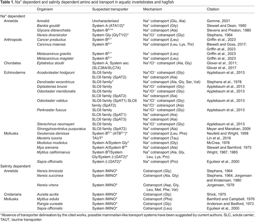 Na+ dependent and salinity dependent amino acid transport in aquatic invertebrates and hagfish