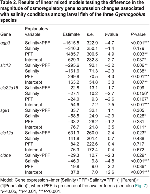 Results of linear mixed models testing the difference in the magnitude of osmoregulatory gene expression changes associated with salinity conditions among larval fish of the three Gymnogobius species