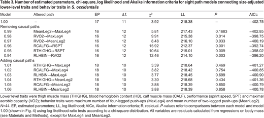 Number of estimated parameters, chi-square, log likelihood and Akaike information criteria for eight path models connecting size-adjusted lower-level traits and behavior traits in S. occidentalis