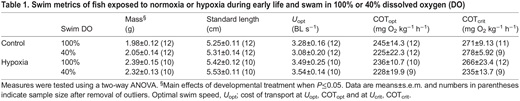Swim metrics of fish exposed to normoxia or hypoxia during early life and swam in 100% or 40% dissolved oxygen (DO)