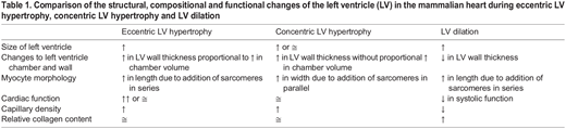 Comparison of the structural, compositional and functional changes of the left ventricle (LV) in the mammalian heart during eccentric LV hypertrophy, concentric LV hypertrophy and LV dilation