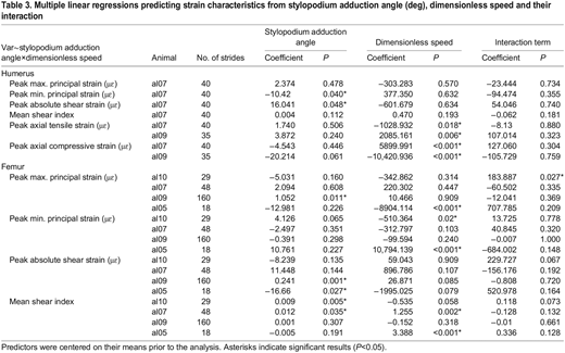Multiple linear regressions predicting strain characteristics from stylopodium adduction angle (deg), dimensionless speed and their interaction