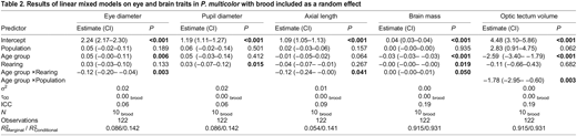Results of linear mixed models on eye and brain traits in P. multicolor with brood included as a random effect