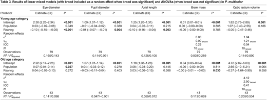 Results of linear mixed models (with brood included as a random effect when brood was significant) and ANOVAs (when brood was not significant) in P. multicolor