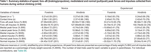 Summary statistics of speed, fore–aft (braking/propulsive), mediolateral and normal (pull/push) peak forces and impulses collected from humans during vertical climbing (n=44)