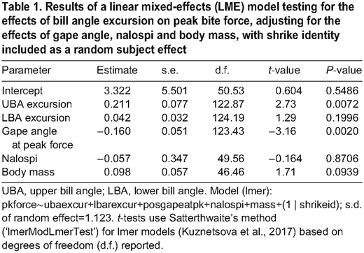 Results of a linear mixed-effects (LME) model testing for the effects of bill angle excursion on peak bite force, adjusting for the effects of gape angle, nalospi and body mass, with shrike identity included as a random subject effect