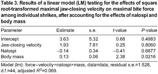 Results of a linear model (LM) testing for the effects of square root-transformed maximal jaw-closing velocity on maximal bite force among individual shrikes, after accounting for the effects of nalospi and body mass