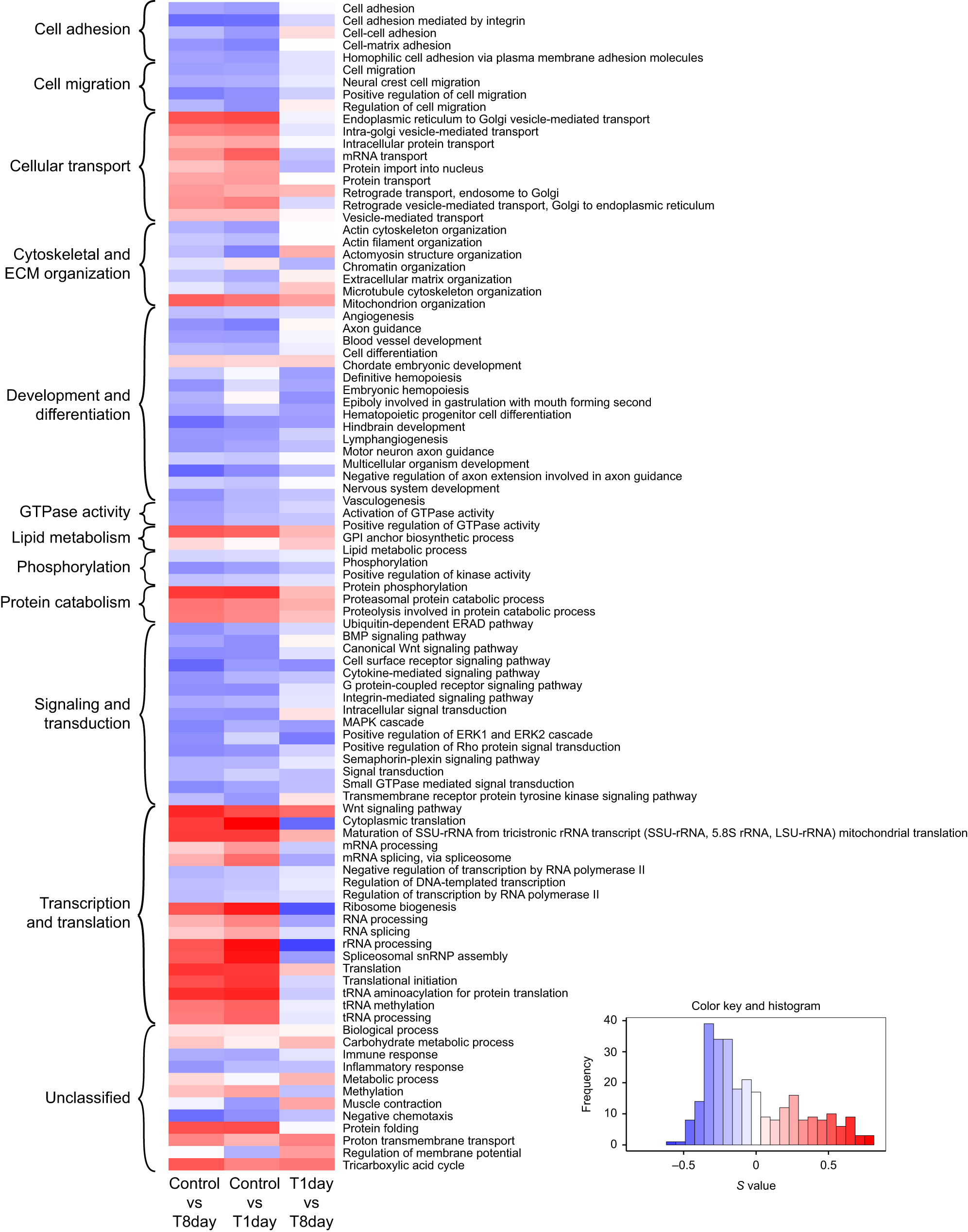 Gene expression correlates and mechanistic insights into electric organ discharge duration changes in mormyrid electric fish