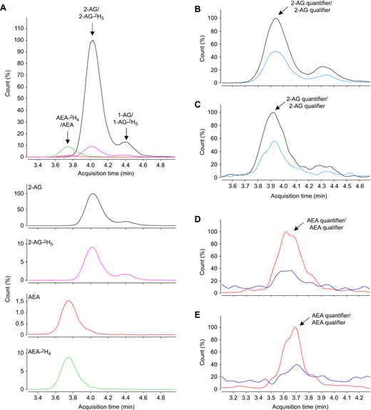 Fig. 1. Refer to the image caption for details.