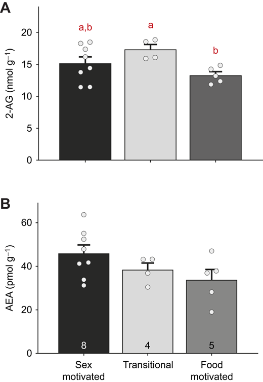 Fig. 3. Refer to the image caption for details.