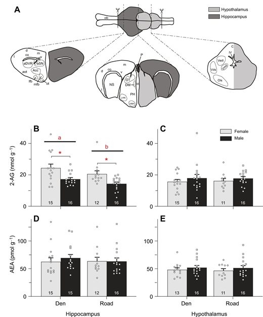 Fig. 4. Refer to the image caption for details.