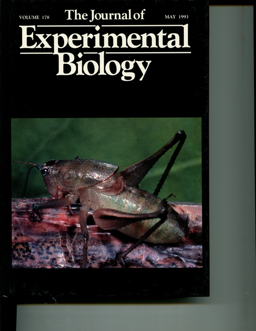 Isolation of Epidermal Cell Pairs from an Insect, Tenebrio Molitor, For ...