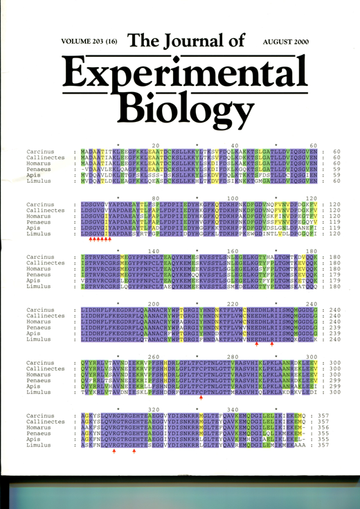 A Hydrodynamic Analysis of Fish Swimming Speed: Wake Structure and ...