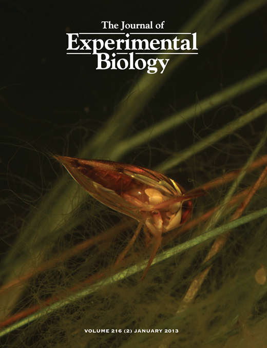 ATTACK OF THE EXPLODING TERMITES | Journal of Experimental Biology ...