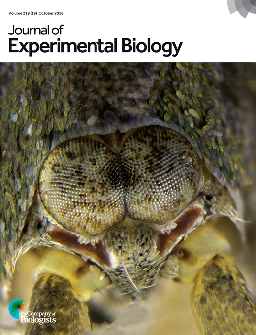 Metabolic recovery from drowning by insect pupae | Journal of ...
