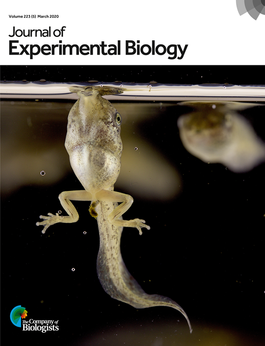 Connecting brain to behaviour: a role for general purpose steering ...