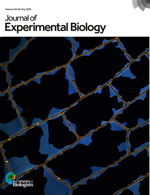 Insect wing damage: causes, consequences and compensatory mechanisms ...