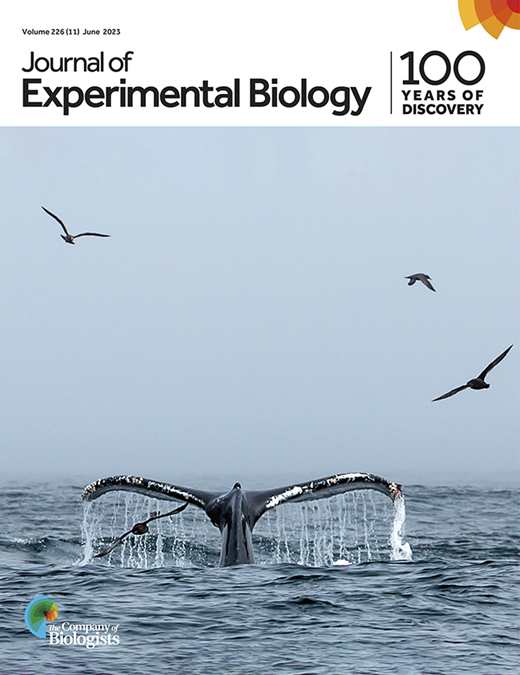 Batting around a new idea: attracting insect buffets for endangered ...