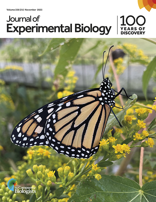 Seasonal energetics: are insects constrained by energy during dormancy ...