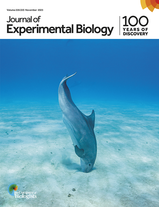 Fish inner ear organs respond differently to noisy waters | Journal of ...