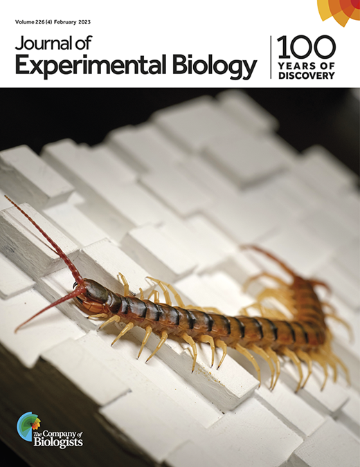 Insect diapause: from a rich history to an exciting future | Journal of ...
