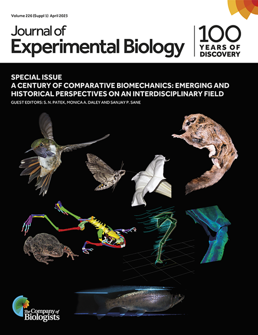 Joint mobility as a bridge between form and function | Journal of ...