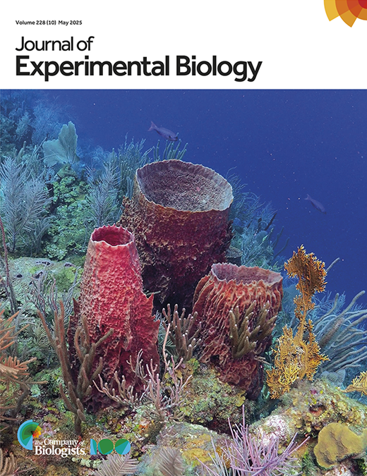 Foldable insect wings: from folding and unfolding mechanisms to ...