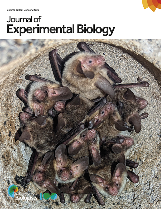 Nutritional stress in larvae induces adaptive responses that transcend ...